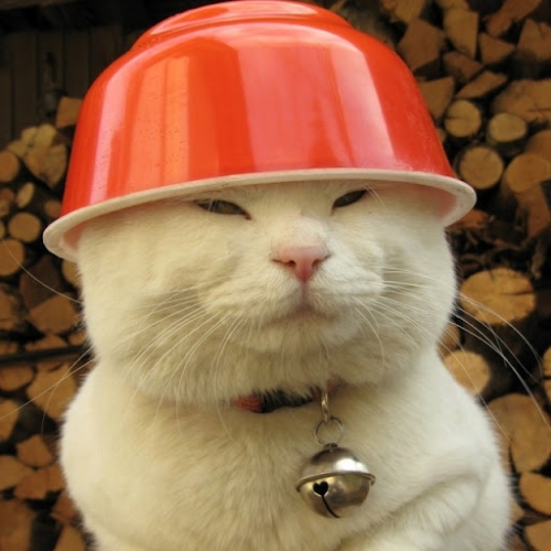 20140406152701688_small.jpg
