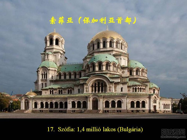 44134931_34.jpg