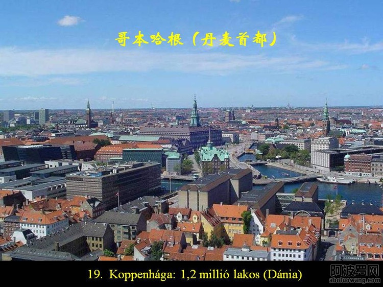 44134931_32.jpg