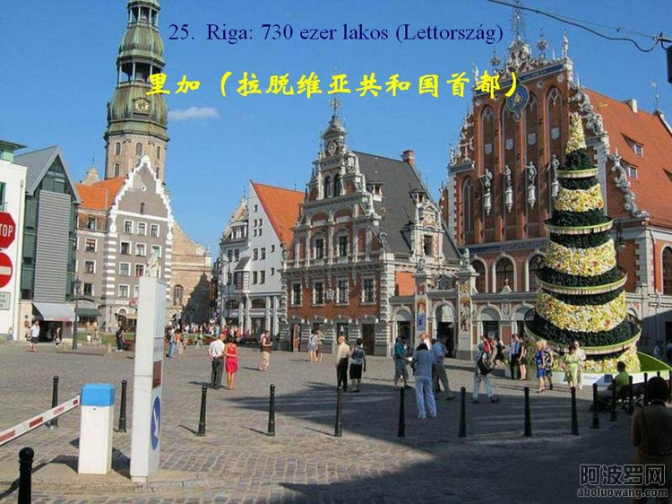 44134931_26.jpg