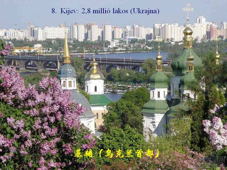44134931_43.jpg