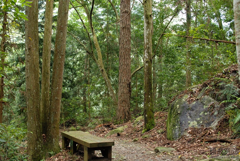 SHI_0025.JPG
