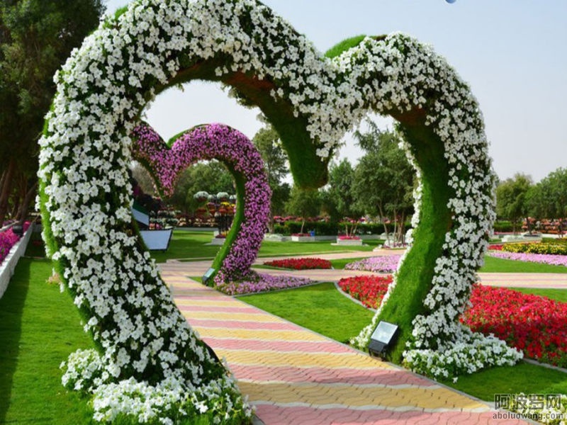 46125694_10.jpg