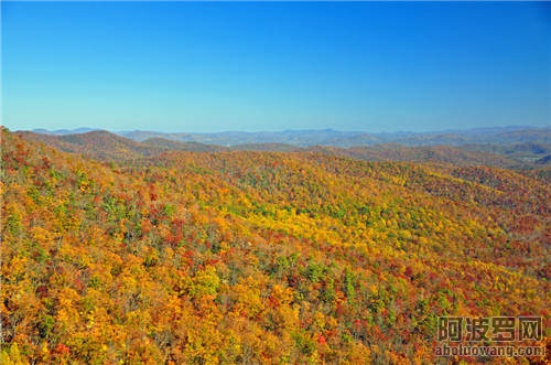 15534822625_a06f32c790_b.jpg