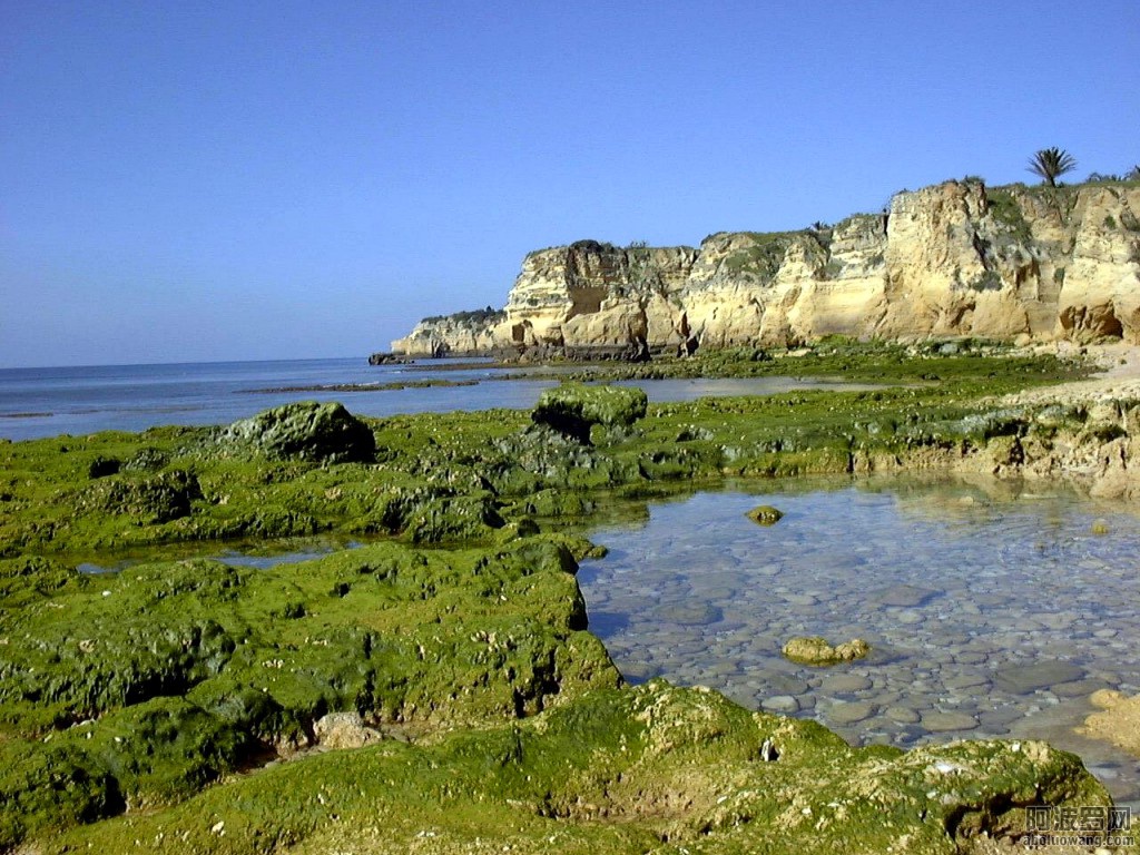 12207065_2.jpg