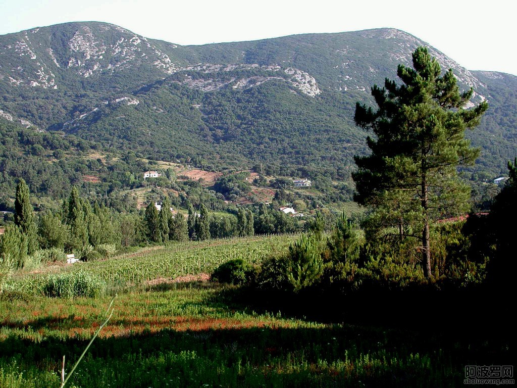 12207065_22.jpg