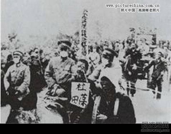 镇反12.jpg