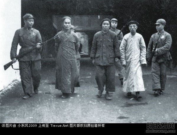 镇反21.jpg