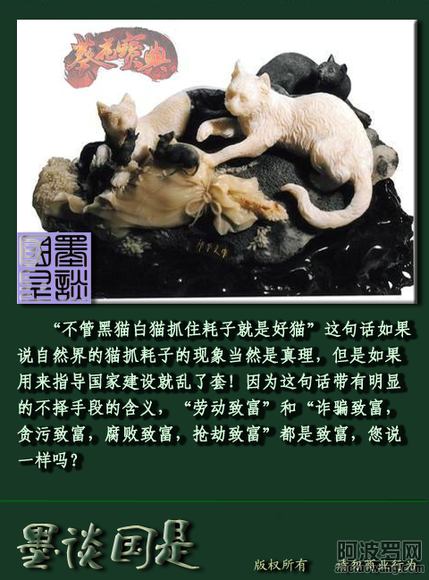 黑猫白猫.png