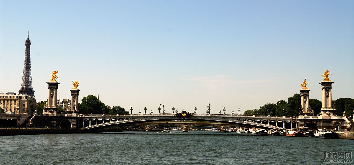 49446636_7.jpg