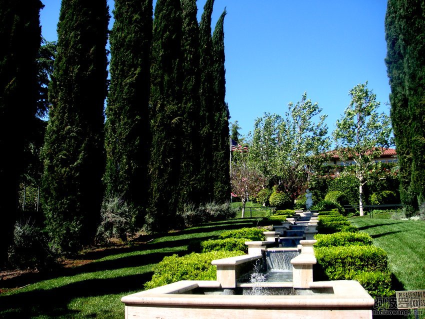 52022132_51.jpg