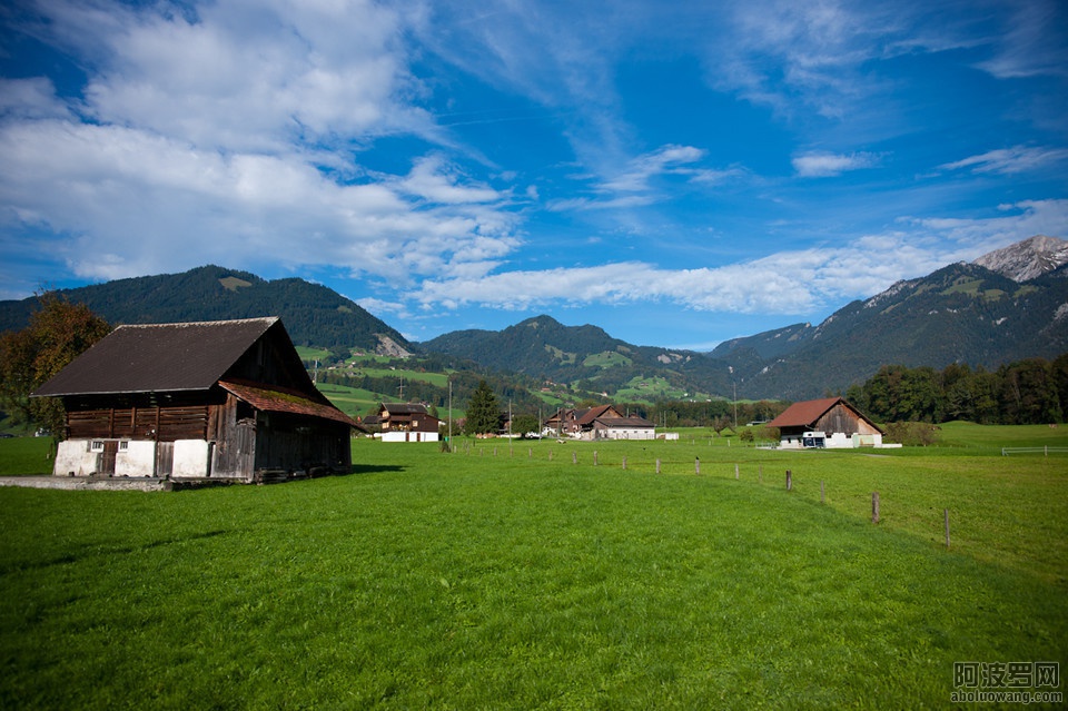 29442551_3.jpg