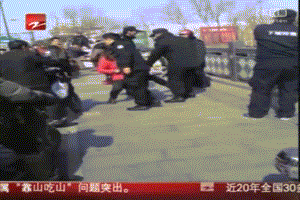 3539277.gif