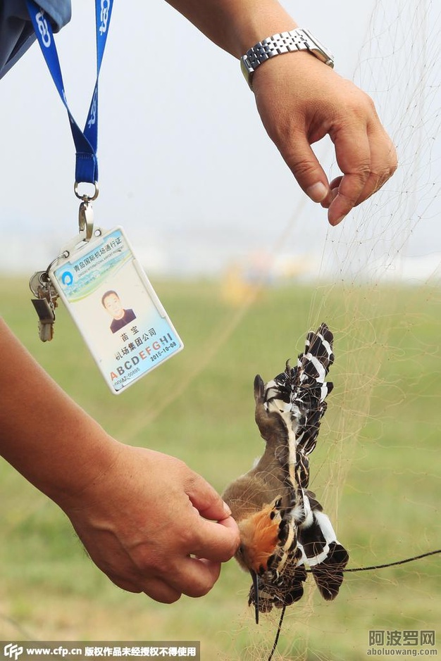 Img7887997_n.jpg