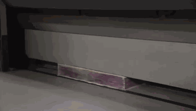 11.gif