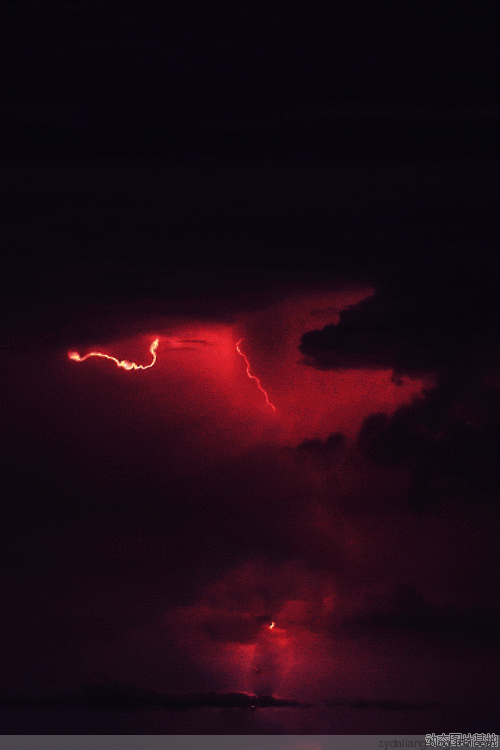 56530073_2.gif