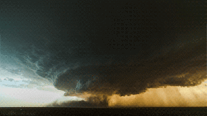 56530073_26.gif