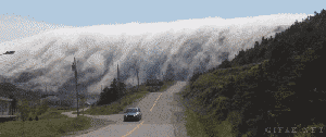 56530073_27.gif