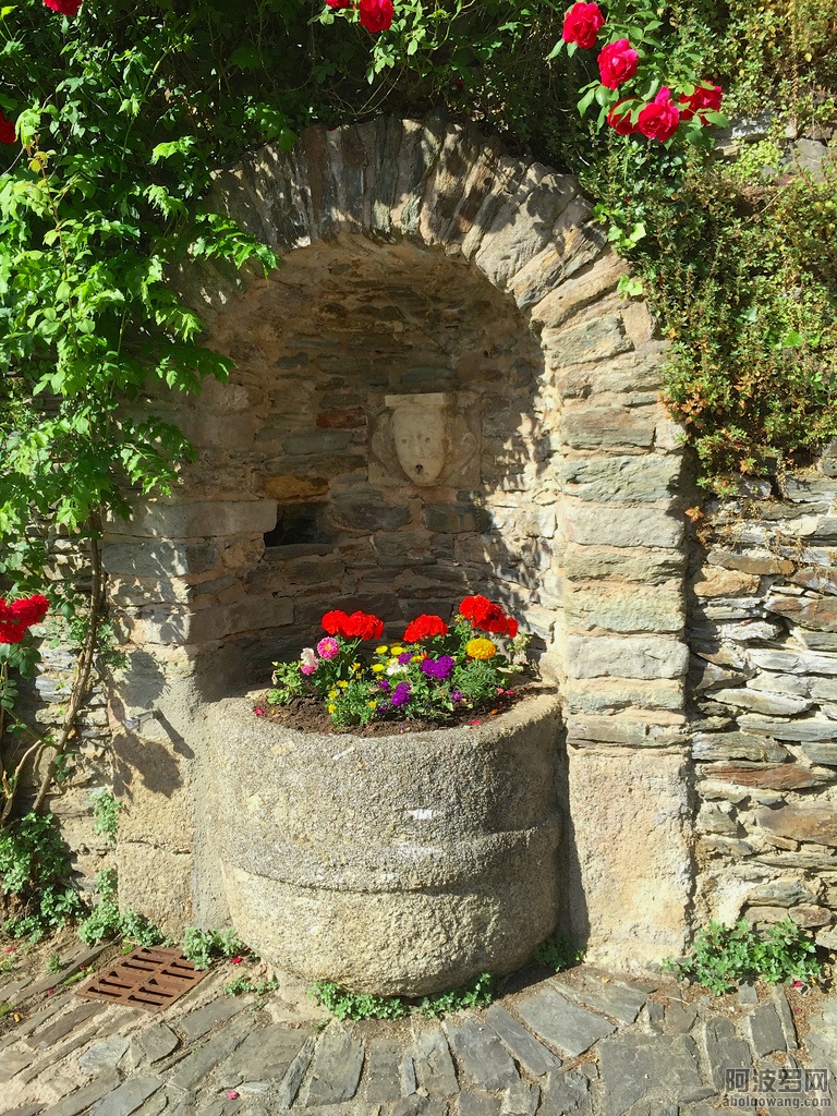76012979_37.jpg