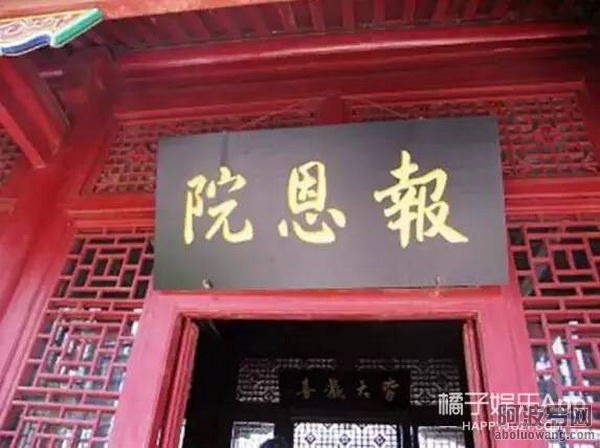 815f818.jpg