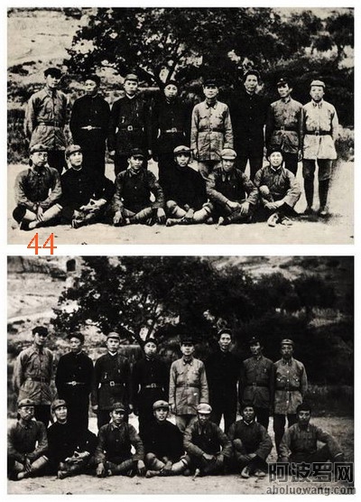 44.jpg