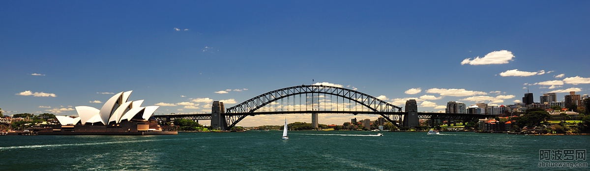 49446394_37.jpg