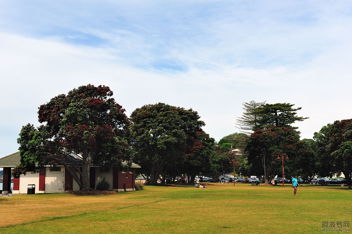 49446833_14.jpg