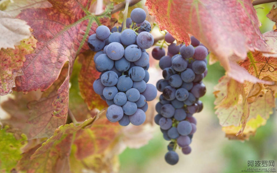 4 (FILEminimizer).jpg