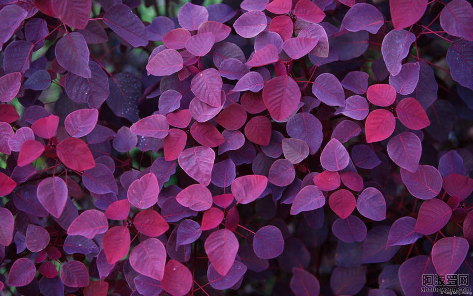 15 (FILEminimizer).jpg