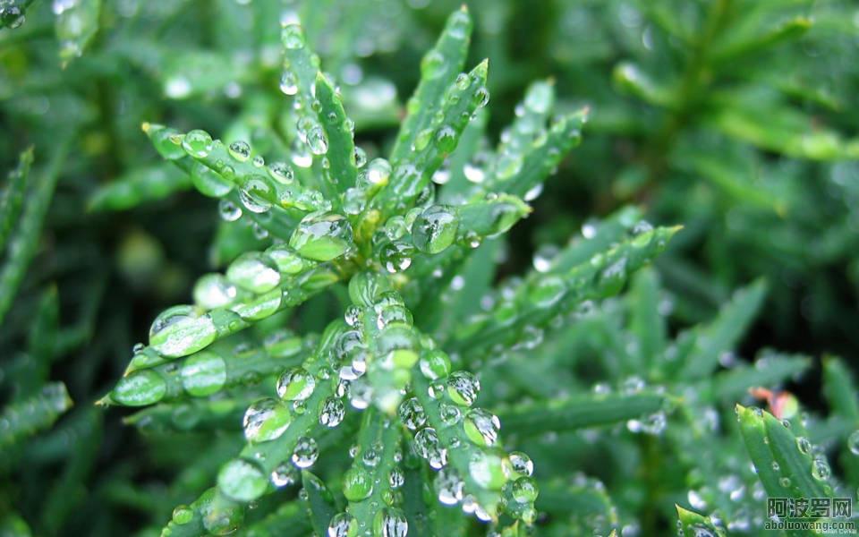 16 (FILEminimizer).jpg