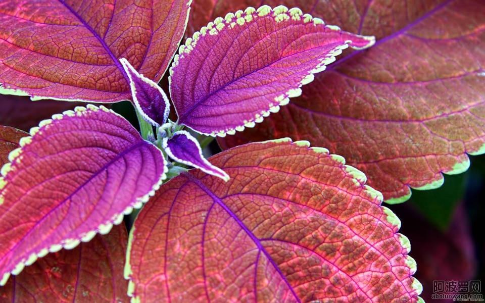 17 (FILEminimizer).jpg