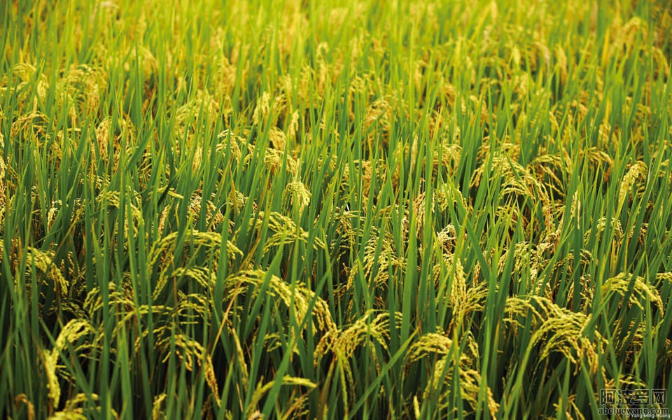 18 (FILEminimizer).jpg