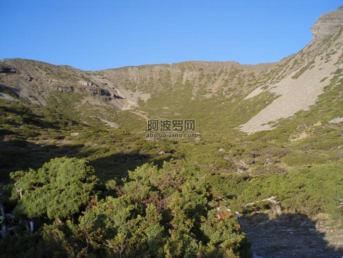 85035111_6.jpg