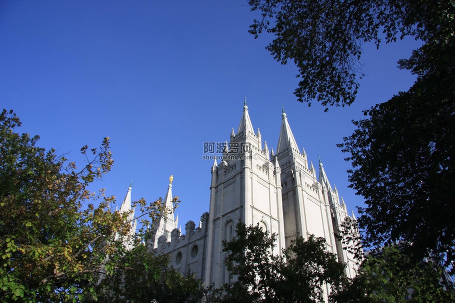 105346874_14.jpg