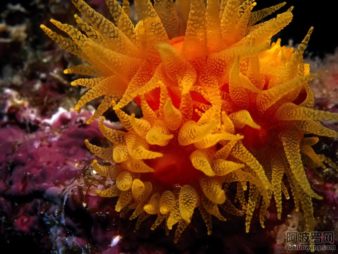 30424147_20.jpg