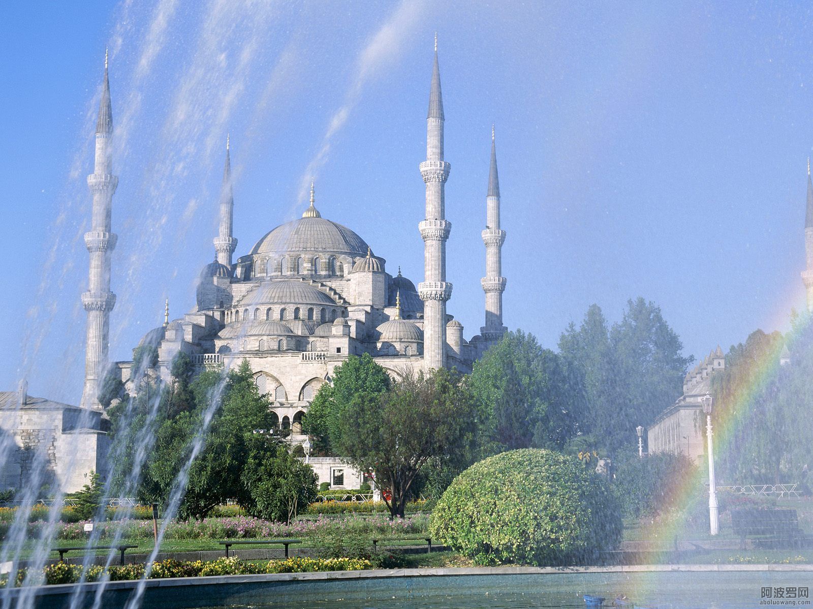 18449552_3.jpg