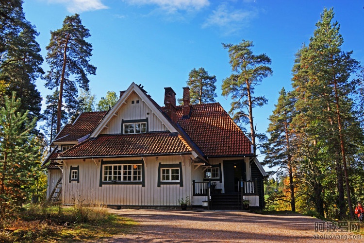 41863029_7.jpg