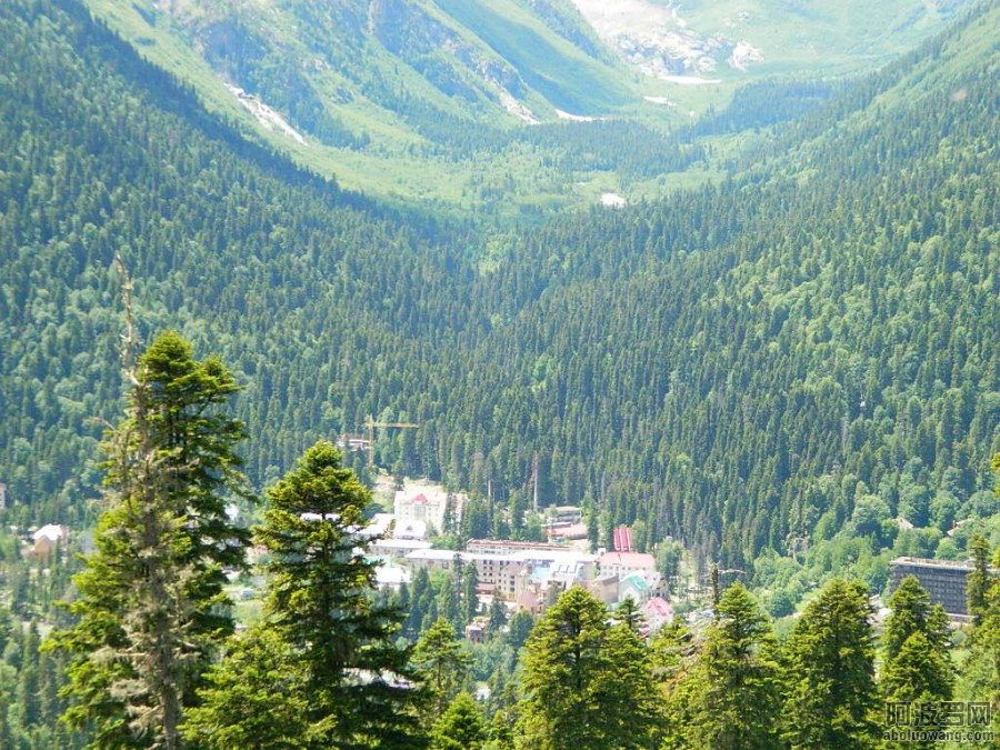 a5ecac2b2641.jpg