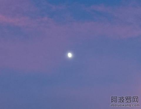 f969-ifvwfti9392176.jpg