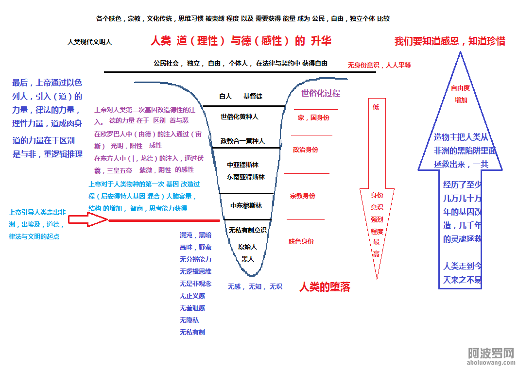 各个族群自由公民化能级图.png