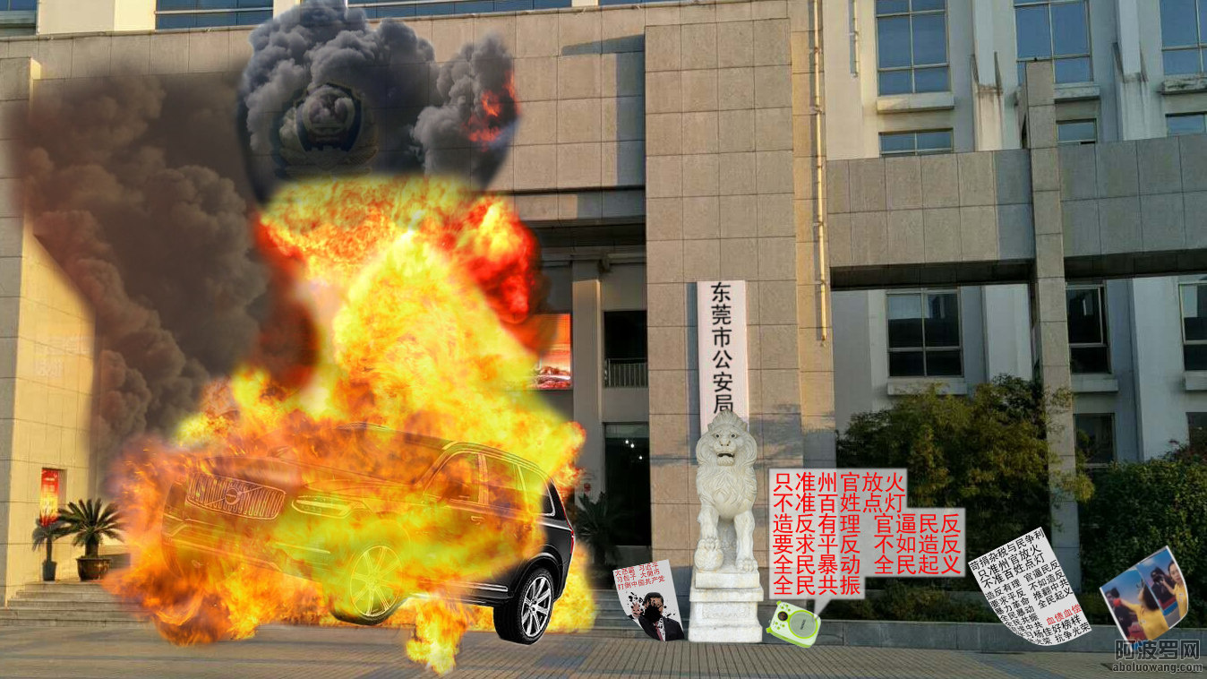 豪车公安局门前自杀式爆炸.jpg