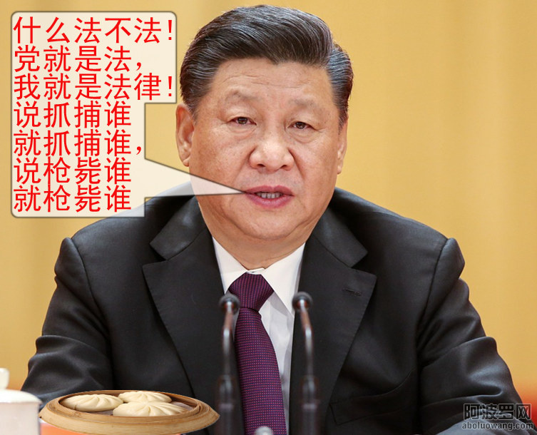 什么法不法 习近平就是法.jpg