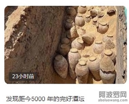 埃及5000年前葡萄酒 - 副本.jpg