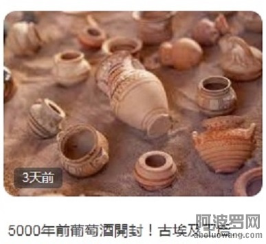 埃及5000年前葡萄酒.jpg