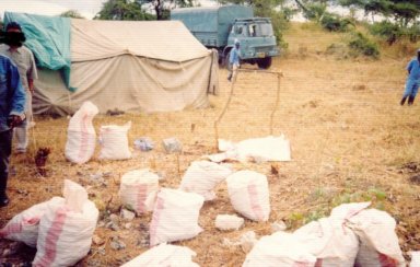 loading copper ore -Africa.jpg