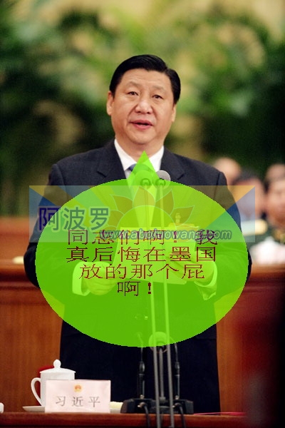 xi11.jpg