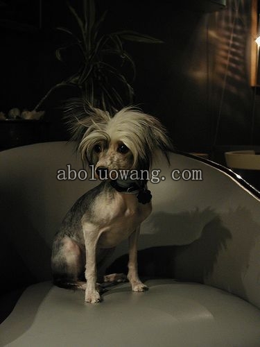 200911182052jiachang2.jpg