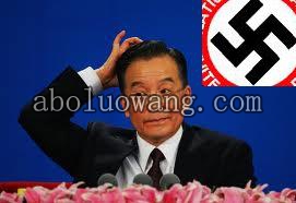 fool wen jiabao