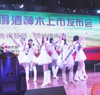 女子乐坊表演.jpg