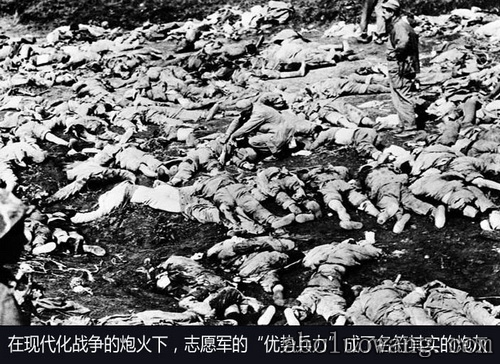 志愿军尸体4.jpg